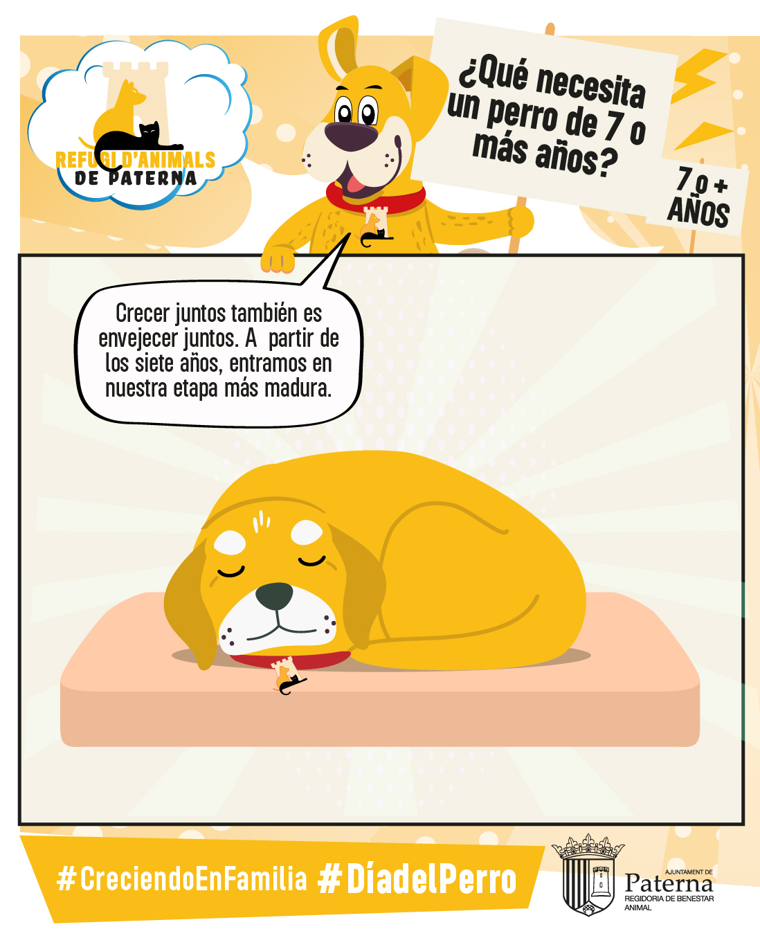 Cómo ayudar a nuestro peludo durante la vejez - Día del Perro 2024